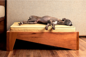 TENHA UM PET E NÃO ESTRAGUE SUA DECORAÇÃO