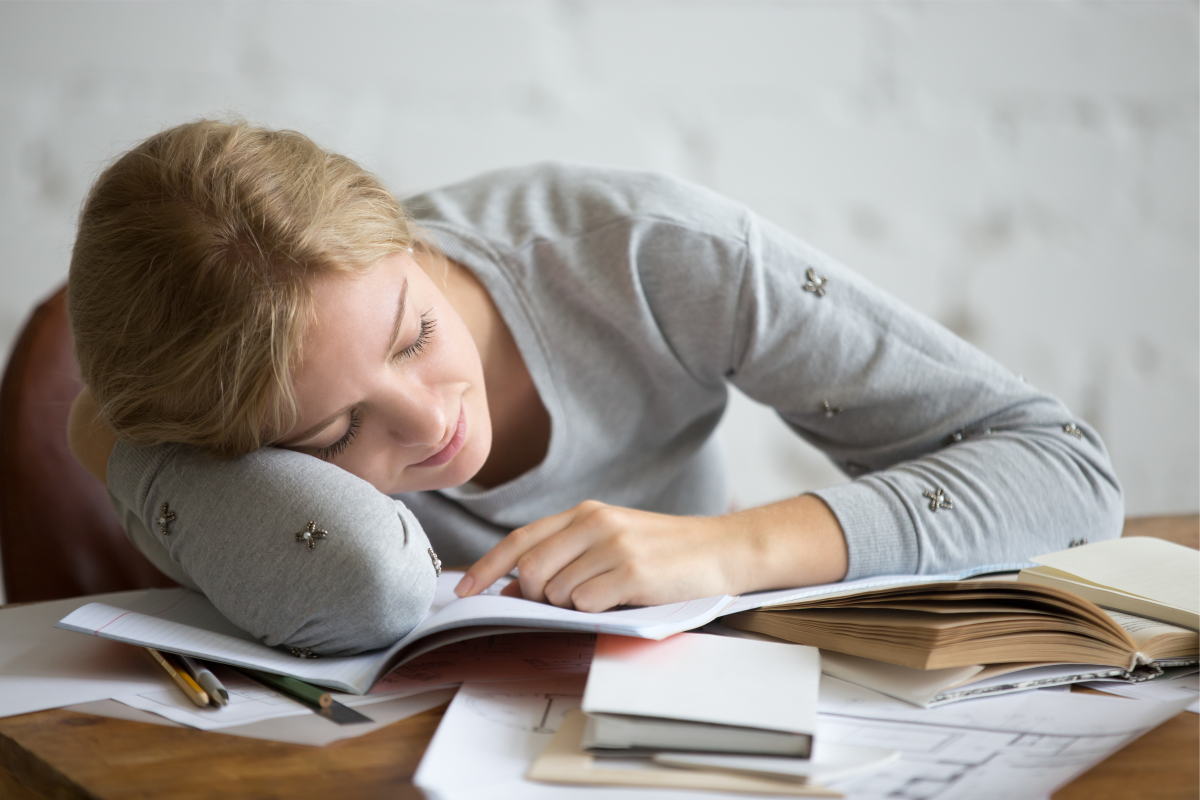 Você sabia que tirar uma soneca depois de estudar ajuda a aprender ...