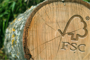 Só use madeira certificada