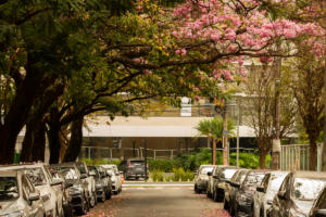 Cambuí, sofisticação e qualidade de vida em um só endereço
