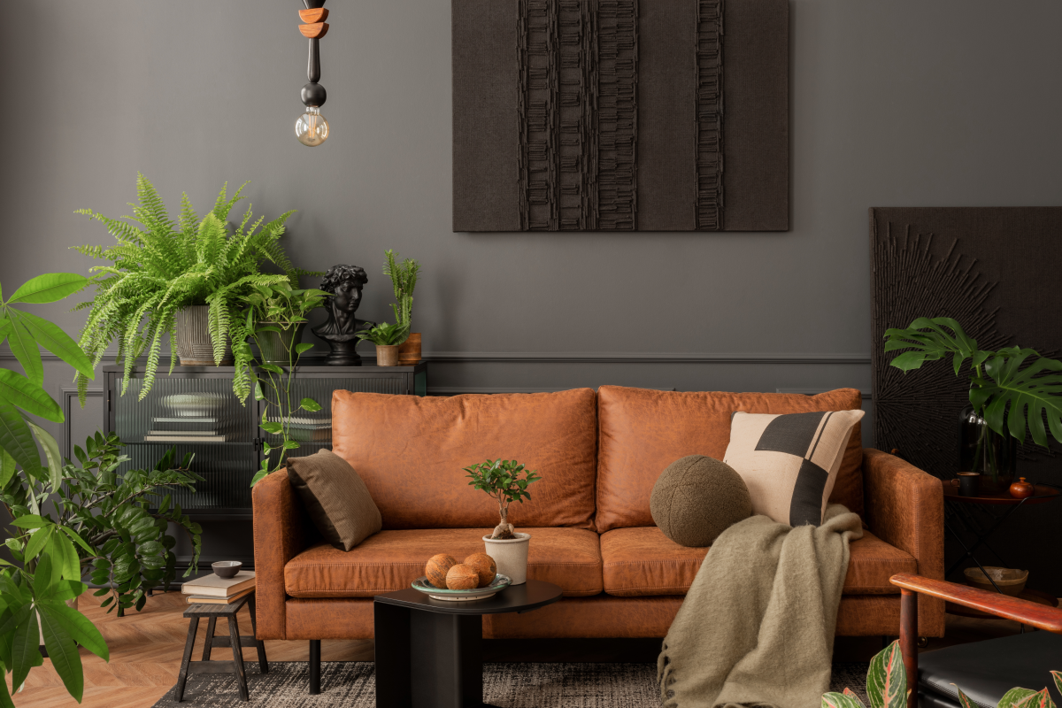 Plantas em casa: como o verde transforma o ambiente e melhora o seu bem estar