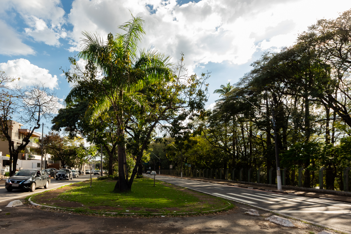 Taquaral: qualidade de vida em um dos endereços mais desejados de Campinas